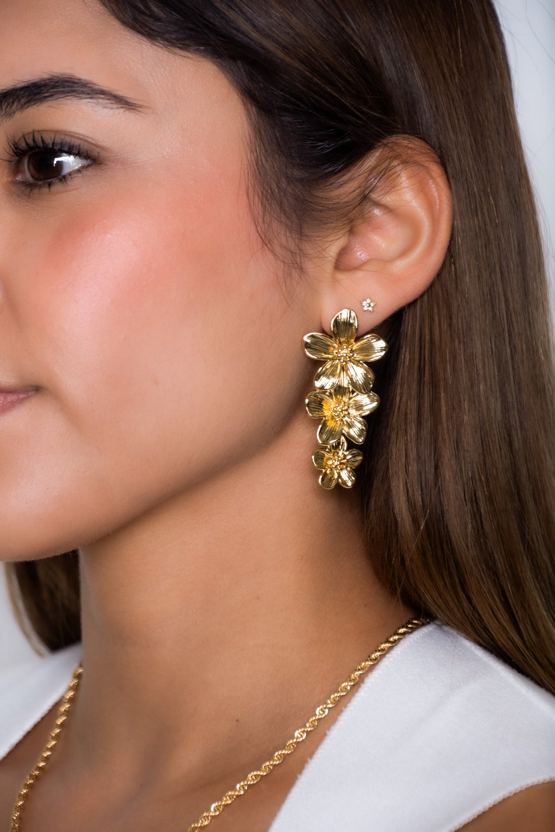 MY GARDEN / ARETES
