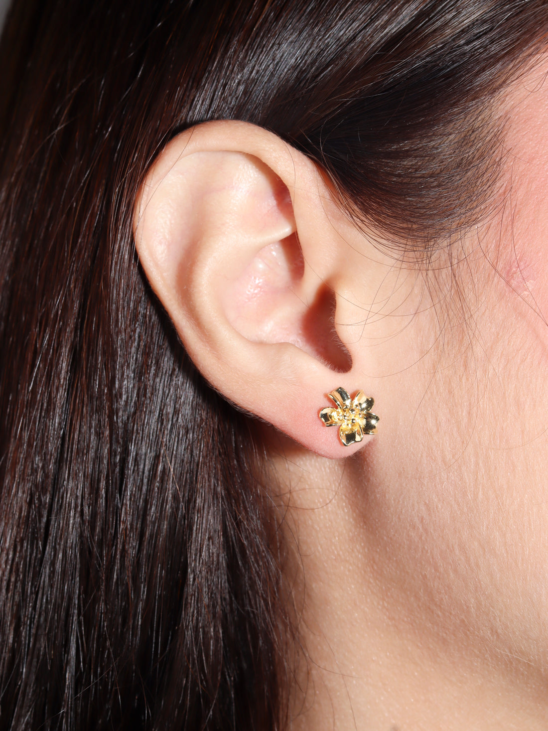 CRISTINA ARETE
