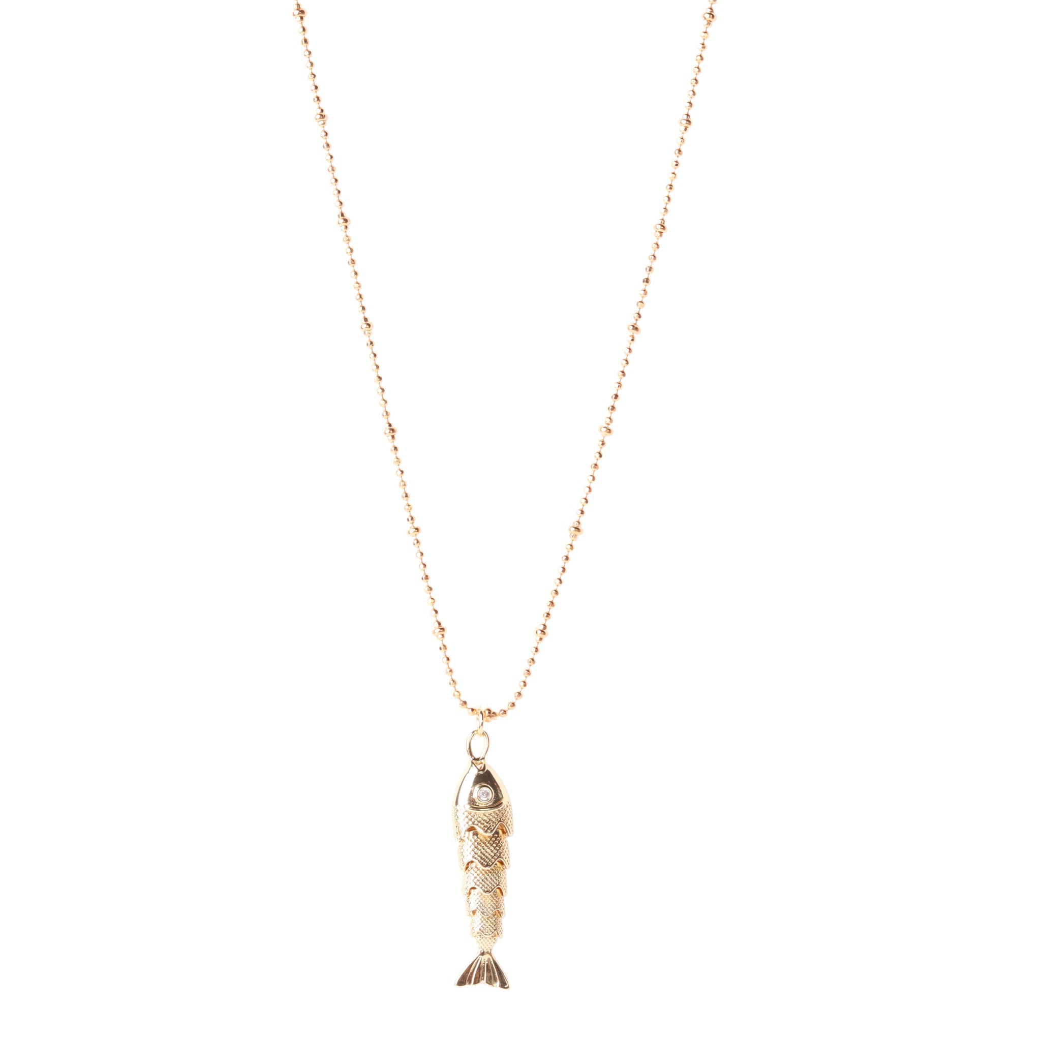 FISH & CHAIN
